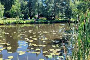 Haus am See. – Die vollständige Adresse der Immobilie erhältst du vom Anbieter., 27729 Hambergen – Vorschaubild 3