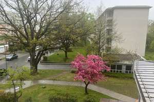 Property thumbnail 18