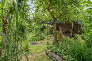 Freizeitgrundstück mit Wochenendhütte im Roten Gries (Baggersee) – Ingolstadt – Vorschaubild 34