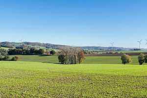 Bauernhof in idyllischer Alleinlage mit Stallungen Acker- und Grünflächen! – Lippe (Kreis) – Vorschaubild 17