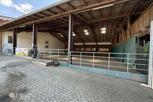 ***Mehrfamilienhaus & Exklusiver Pferdehof mit Reitanlage auf ca 21.000 m² Grundstück*** – Die vollständige Adresse der Immobilie erhältst du vom Anbieter., 37574 Einbeck – Vorschaubild 13