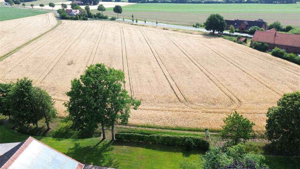 Immobilie in Stolzenau - Charmanter Resthof mit Nebengebäuden und viel Platz für Tierhaltung - Bild 3