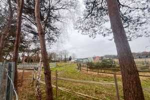 "Idyllischer Resthof in Alleinlage: Tolles Anwesen mit Hofladen, Reitplatz! – Emsland (Kreis) – Vorschaubild 19