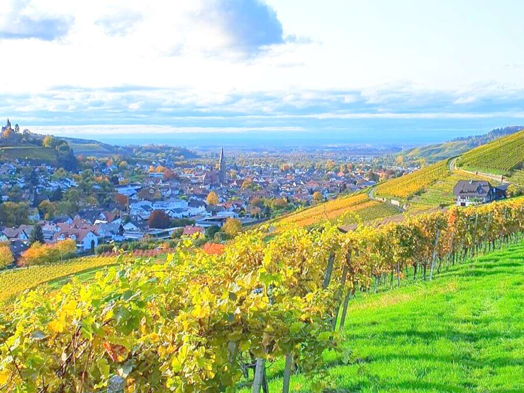 Immobilie in Kappelrodeck - Ausbaubares Bauernhaus mit Pferdestall auf 10.000 qm Grund mit Blick ins Achertal und zu den Vogesen - Bild 1
