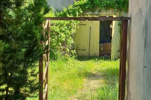 Die Chance für Mutige - Mehrfamilienhaus  – Stettiner Str. 25, 17367 Eggesin – Vorschaubild 27