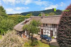 Historisches Bauernhaus mit Reetdach und kleinem Pferdestall in Monschau-Widdau – Aachen (Kreis) – Vorschaubild 13