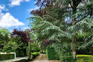 Exklusives Wohnen - Villa in Toplage – Bremen – Vorschaubild 5