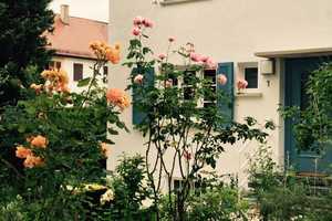Reihenendhaus wurde wach geküsst – Esslingen (Kreis) – Vorschaubild 3
