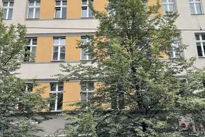 Property thumbnail 17