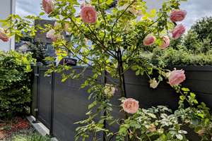 Provisionsfrei: Neuwertige 4-Zimmer-Gartenwohnung (Bj. 2019) am Ehrenberg – Die vollständige Adresse der Immobilie erhältst du vom Anbieter., 42389 Langerfeld-Beyenburg, Wuppertal – Vorschaubild 5