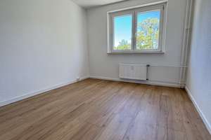 Frisch sanierte 4-Zimmer-Wohnung mit Balkon & Aufzug – ruhige Grünlage in Magdeburg-Herrenkrug – Breitscheidstraße 33, 39114 Herrenkrug, Magdeburg – Vorschaubild 15