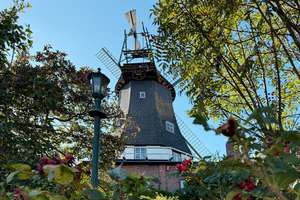Historische Mühle | Bereit für frischen Wind – Die vollständige Adresse der Immobilie erhältst du vom Anbieter., 25704 Meldorf – Vorschaubild 2