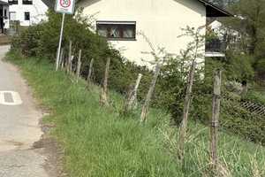 Günstiges 6-Raum-Einfamilienhaus in Trier Kernscheid – Trier – Vorschaubild 1