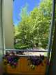 Schöne und grüne 2-Zimmer-Wohnung mit Balkon in München-Neuhausen