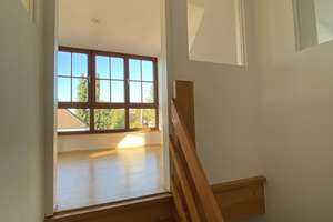 Charmantes, frisch renoviertes   4-Zimmer Eck-Haus in München-Obermenzing – Rathochstraße 9, 81247 Obermenzing, München – Vorschaubild 24
