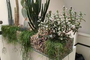 Property thumbnail 23