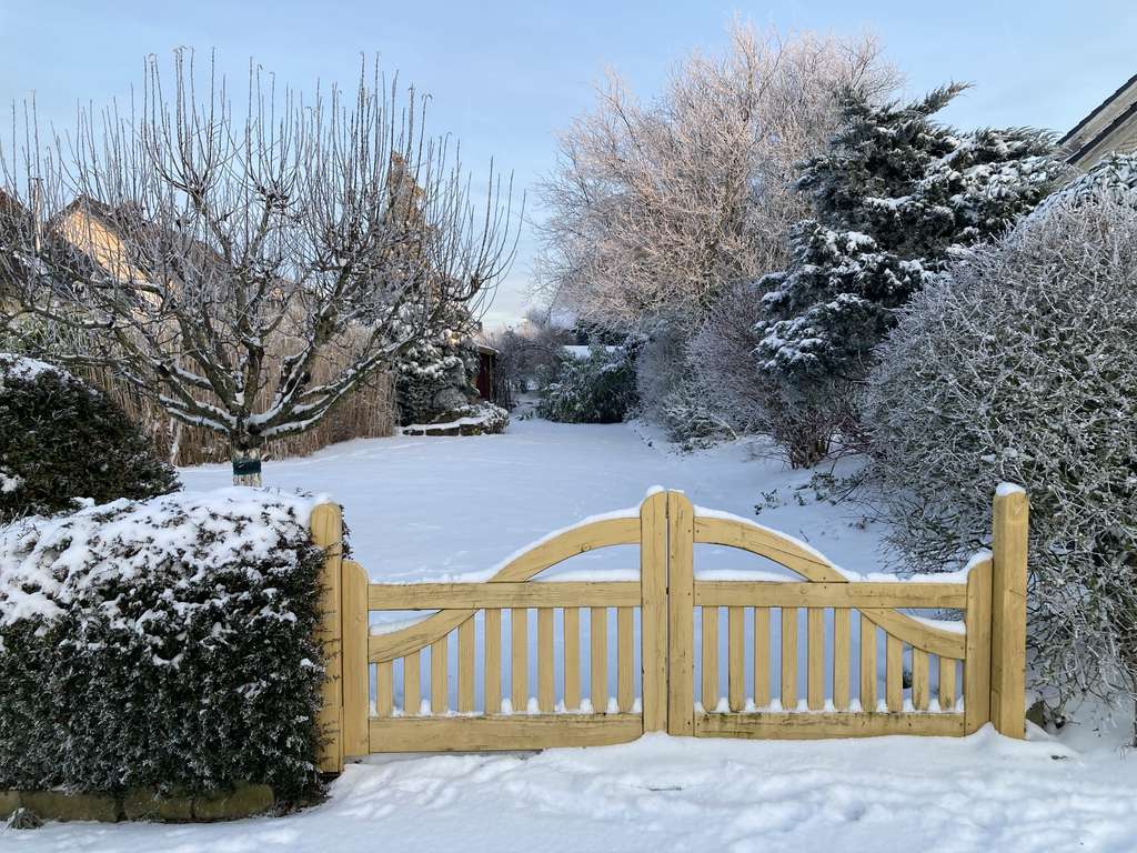 Immobilie in Speicher - Gepflegtes Einfamilienhaus mit Garage in Speicher - Bild 4