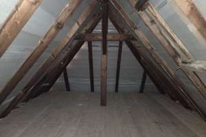 Bezugsfrei nahe FU Berlin: helle 2-Zimmer-Dachgeschosswohnung am Breitenbachplatz – Die vollständige Adresse der Immobilie erhältst du vom Anbieter., 12163 Steglitz, Berlin – Vorschaubild 18