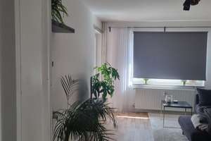 Wohnen mit Charakter: 3,5-Zimmer-Wohnung in Braunschweig – Helmstedter Straße 1a, 38102 Östliches Ringgebiet, Braunschweig – Vorschaubild 7