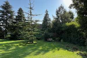 großzügiger Bungalow am Südharrl - ideal für Familien – Schaumburg (Kreis) – Vorschaubild 13