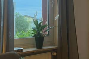 Bright apartment with garage available from July (fully furnished) – Leopoldstraße 191, 80804 Münchner Freiheit, München – Vorschaubild 16