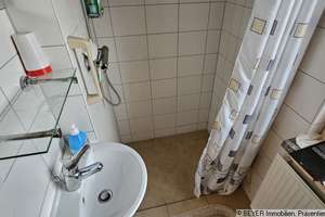 Property thumbnail 19