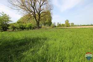 Perle in absoluter Alleinlage ! Traumgrundstück ! – Bedburg-Hau, Kleve (Kreis), 47551 Kleve (Kreis) – Vorschaubild 87