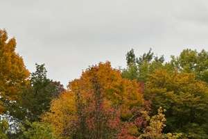 Property thumbnail 43