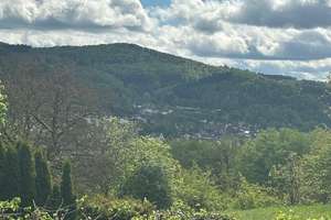 Entdecken Sie Ihr persönliches Juwel im idyllischen Luftkurort Biedenkopf – ein Naturparadies! – Die vollständige Adresse der Immobilie erhältst du vom Anbieter., 35216 Biedenkopf – Vorschaubild 8
