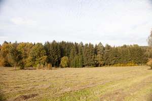 Charmante Hofstelle mit Zukauf von ca. 5 ha Wiesen – Obermurach 17, 92526 Oberviechtach – Vorschaubild 17