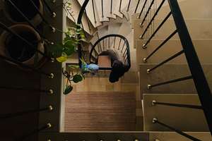 Großzügiges, zeitloses Einfamilienhaus mit großem Garten in Köln-Rath von privat – Am Stachelshäuschen 5, 51107 Rath/Heumar, Köln – Vorschaubild 14