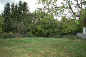 Stadthaus mit Nebengelass und romantischem Garten in Schildau – Schildau, Nordsachsen (Kreis), 4889 Nordsachsen (Kreis) – Vorschaubild 6