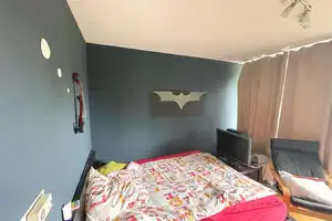 Property thumbnail 13