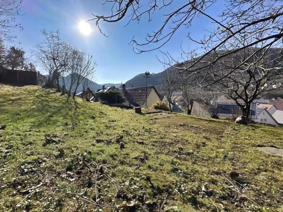 Garten hinter dem Haus