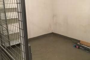 Von Privat: Top 3 ZKBB  in WI-Naurod*Garage* Parkett*Gäste WC – Die vollständige Adresse der Immobilie erhältst du vom Anbieter., 65207 Naurod, Wiesbaden – Vorschaubild 14