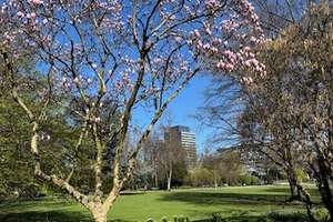 Property thumbnail 8