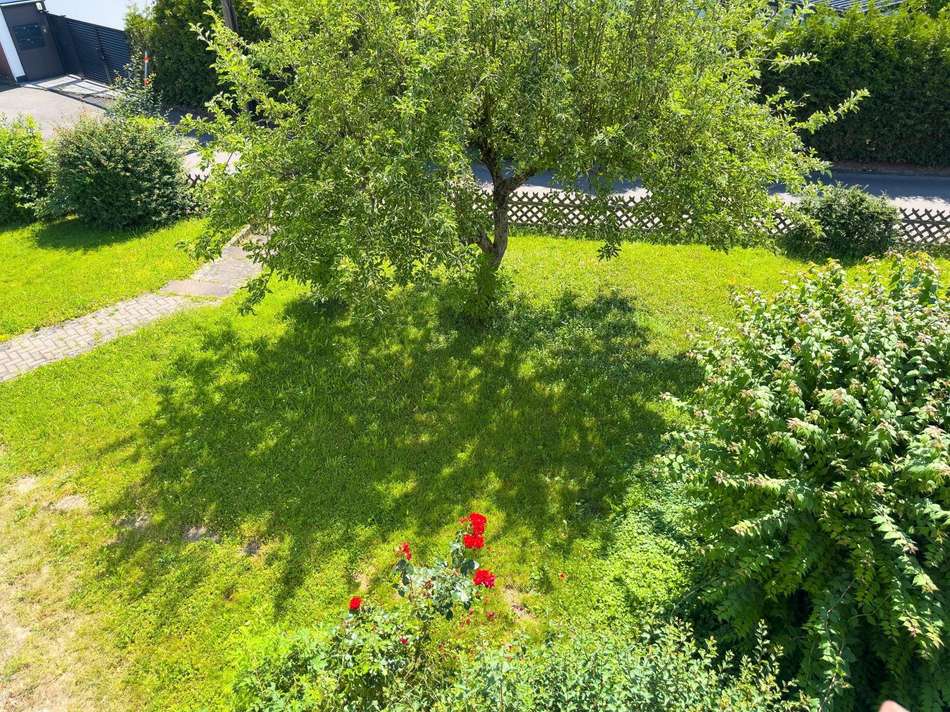 Gartenansicht vom Balkon
