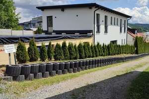Neubau mit vielseitigen Nutzungsmöglichkeiten in zentraler Lage in Grafenau – Pandurengasse 8, 94481 Grafenau – Vorschaubild 1