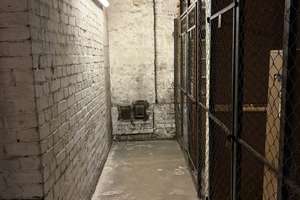 Property thumbnail 19