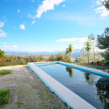 FINCA SIERRA DE LAS NIEVES. ALOZAINA. MALAGA