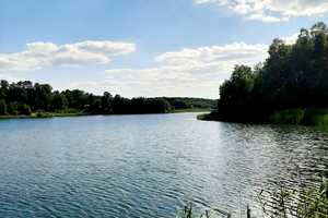 Zwei Ferienbungalows mit Fasssauna am Pinnower See - Reserviert – Spree-Neiße (Kreis) – Vorschaubild 34