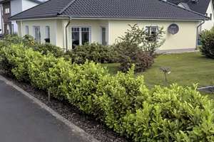 Bungalow in Negast bei Stralsund 