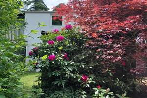 Bungalow Bonn Lengsdorf – Die vollständige Adresse der Immobilie erhältst du vom Anbieter., 53127 Lengsdorf, Bonn – Vorschaubild 8