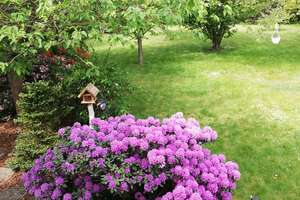 Property thumbnail 32