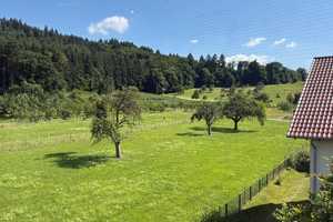 360°-Rundgang | Großes Einfamilienhaus mit separater Wohnung - ideal für Mehrgenerationen – Breisgau-Hochschwarzwald (Kreis) – Vorschaubild 3