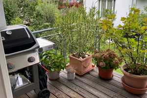 Sehr ruhige Wohnung mitten in Neuenheim in privater Anlage – Lutherstraße 53, 69120 Heidelberg – Vorschaubild 9