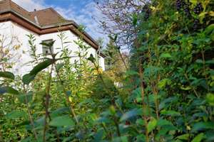 „Hier stört Ihre laute Musik keinen.“
Freistehendes helles Stadthaus mit viel Privatsphäre – Die vollständige Adresse der Immobilie erhältst du vom Anbieter., 7407 Rudolstadt – Vorschaubild 11