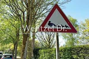 PROVISIONSFREI für Käufer – Traumhaftes Einfamilienhaus mit Vollkeller – Stormarn (Kreis) – Vorschaubild 28