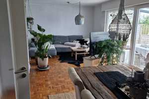 Freundliches 5-Zimmer-Reihenhaus mit EBK in Bonn Oberkassel – Bonn – Vorschaubild 5