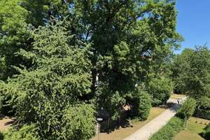 Dachterrassenwohnung am Pfanzltplatz